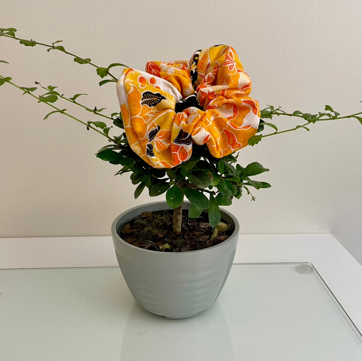 Sarong Medium Bonsai